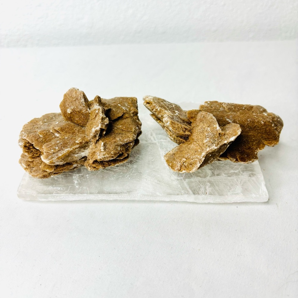 Set of 2 Desert Rose Gypsum